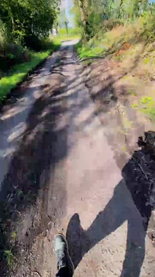 Bigdick95daddy - cam4