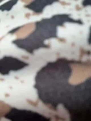 Eva_stark10 - stripchat