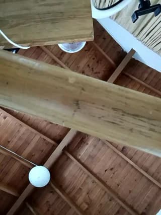 SilvaBranko - stripchat