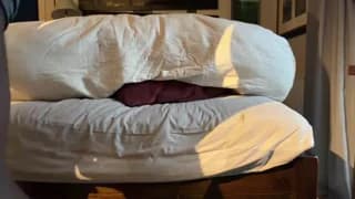 SirDaddylicious - stripchat