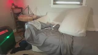 StudlyHardwood - cam4