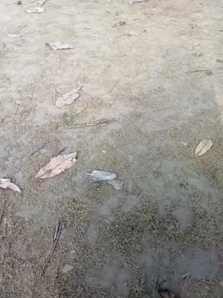 andresj22hot - stripchat