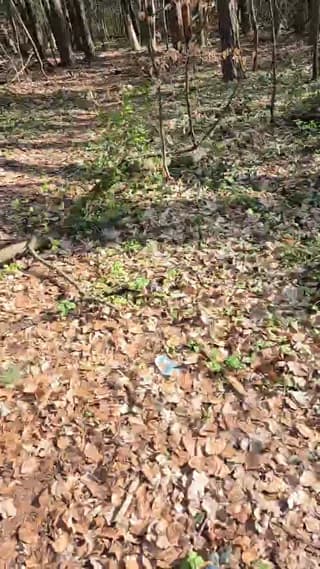 imfreienzeigen - cam4