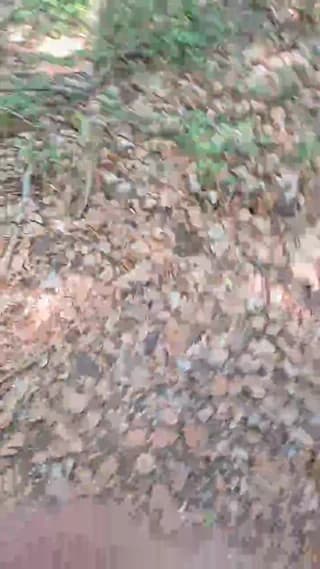 imfreienzeigen - cam4